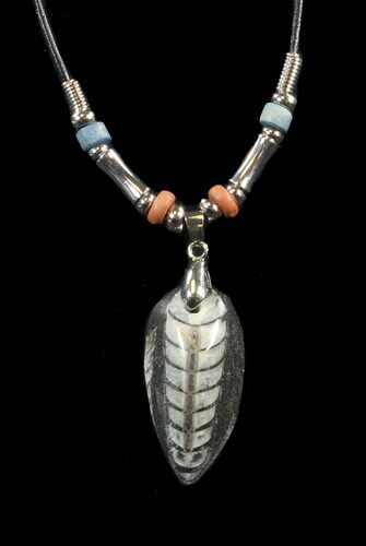 Fossil Orthoceras (Devonian Cephalopod) Necklace #43109